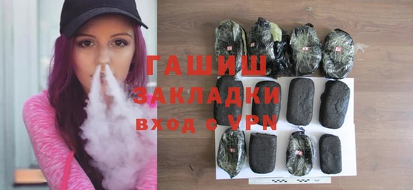 молекула духа Ельня
