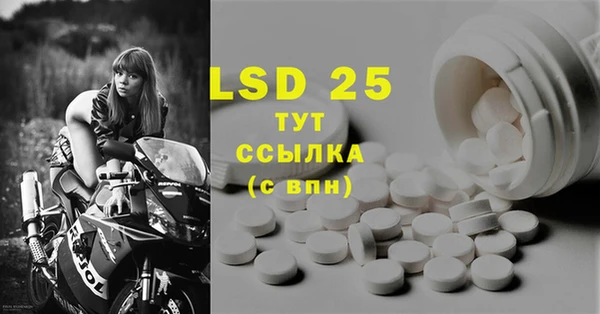 молекула духа Ельня