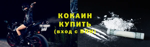 молекула духа Ельня
