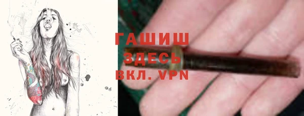 молекула духа Ельня