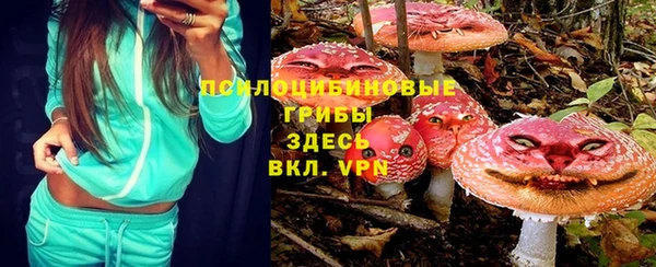 молекула духа Ельня