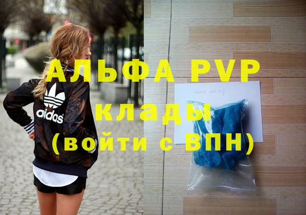 молекула духа Ельня