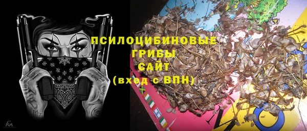Альфа ПВП Елабуга