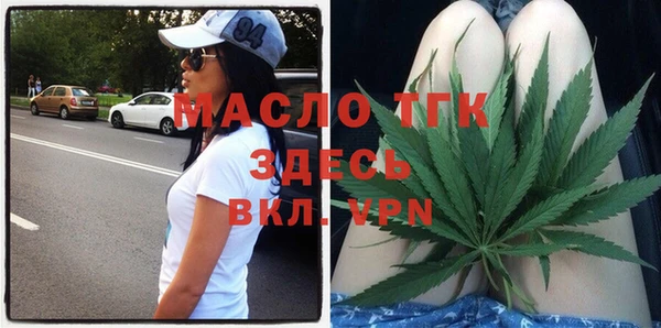 молекула духа Ельня