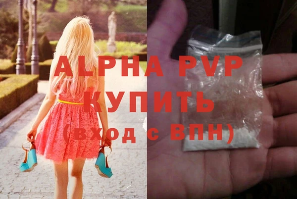 молекула духа Ельня