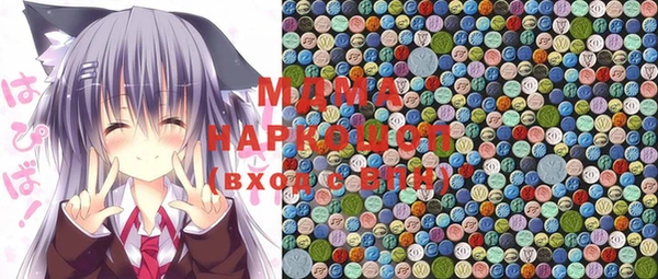 молекула духа Ельня