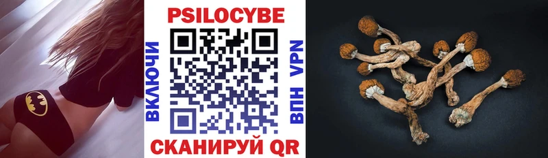 МЕГА ТОР  даркнет как зайти  Галлюциногенные грибы прущие грибы  Новая Ляля 